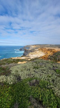 Praia de Almograve plajı, okyanus dalgaları, uçurumlar ve taşlar, ıslak altın kum ve yeşil bitki örtüsü vahşi Rota Vicentina sahillerinde, Odemira, Portekiz