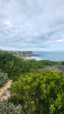 Zambujeira deniz kıyısında deniz dalgaları, uçurumlar ve kumullarla kaplı yeşil bitki örtüsü kırmızı incir yaprakları, güneşli bir gün, açık mavi gökyüzü. Rota Vicentina Sahili, Portekiz.