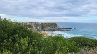Zambujeira deniz kıyısında deniz dalgaları, uçurumlar ve kumullarla kaplı yeşil bitki örtüsü kırmızı incir yaprakları, güneşli bir gün, açık mavi gökyüzü. Rota Vicentina Sahili, Portekiz.