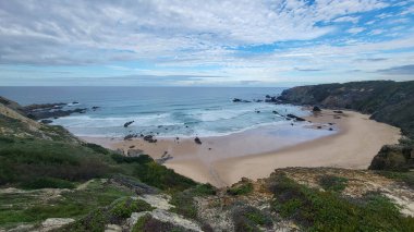 Zambujeira deniz kıyısında deniz dalgaları, uçurumlar ve kumullarla kaplı yeşil bitki örtüsü kırmızı incir yaprakları, güneşli bir gün, açık mavi gökyüzü. Rota Vicentina Sahili, Portekiz.