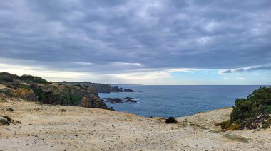 Zambujeira deniz kıyısında deniz dalgaları, uçurumlar ve kumullarla kaplı yeşil bitki örtüsü kırmızı incir yaprakları, güneşli bir gün, açık mavi gökyüzü. Rota Vicentina Sahili, Portekiz.