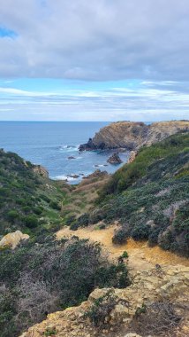 Zambujeira deniz kıyısında deniz dalgaları, uçurumlar ve kumullarla kaplı yeşil bitki örtüsü kırmızı incir yaprakları, güneşli bir gün, açık mavi gökyüzü. Rota Vicentina Sahili, Portekiz.