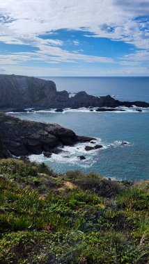 Zambujeira deniz kıyısında deniz dalgaları, uçurumlar ve kumullarla kaplı yeşil bitki örtüsü kırmızı incir yaprakları, güneşli bir gün, açık mavi gökyüzü. Rota Vicentina Sahili, Portekiz.