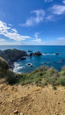 Zambujeira deniz kıyısında deniz dalgaları, uçurumlar ve kumullarla kaplı yeşil bitki örtüsü kırmızı incir yaprakları, güneşli bir gün, açık mavi gökyüzü. Rota Vicentina Sahili, Portekiz.
