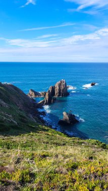 Zambujeira deniz kıyısında deniz dalgaları, uçurumlar ve kumullarla kaplı yeşil bitki örtüsü kırmızı incir yaprakları, güneşli bir gün, açık mavi gökyüzü. Rota Vicentina Sahili, Portekiz.
