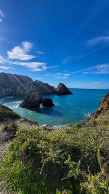 Zambujeira deniz kıyısında deniz dalgaları, uçurumlar ve kumullarla kaplı yeşil bitki örtüsü kırmızı incir yaprakları, güneşli bir gün, açık mavi gökyüzü. Rota Vicentina Sahili, Portekiz.