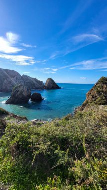 Zambujeira deniz kıyısında deniz dalgaları, uçurumlar ve kumullarla kaplı yeşil bitki örtüsü kırmızı incir yaprakları, güneşli bir gün, açık mavi gökyüzü. Rota Vicentina Sahili, Portekiz.