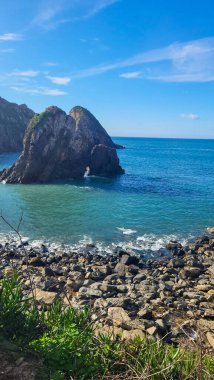 Zambujeira deniz kıyısında deniz dalgaları, uçurumlar ve kumullarla kaplı yeşil bitki örtüsü kırmızı incir yaprakları, güneşli bir gün, açık mavi gökyüzü. Rota Vicentina Sahili, Portekiz.