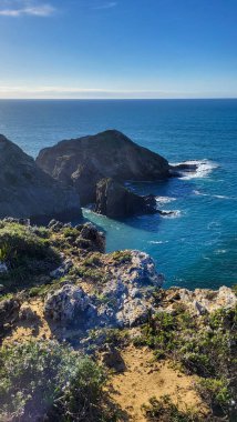Zambujeira deniz kıyısında deniz dalgaları, uçurumlar ve kumullarla kaplı yeşil bitki örtüsü kırmızı incir yaprakları, güneşli bir gün, açık mavi gökyüzü. Rota Vicentina Sahili, Portekiz.