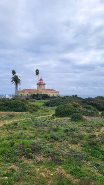 Ponta Da Piedade Kayalıkları Algarve, Portekiz 'deki Lagos yakınlarında. Portekiz 'in Algarve Bölgesi, Ponta Da Piedade' deki Cliff Rocks, Seagulls ve Turist Gemisi. Rota Vicentina 'nın Balıkçı Patikası' nda yürüyüş.