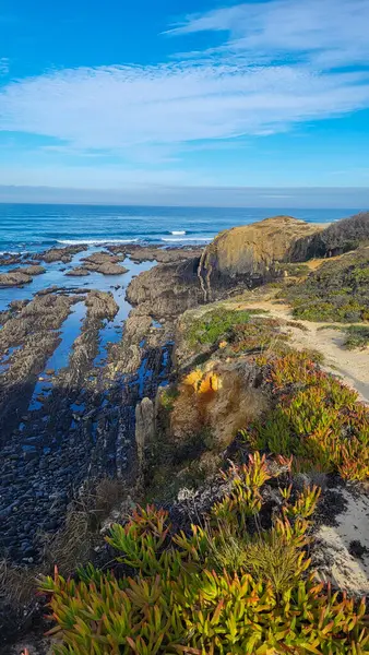 Almograve Sahili, Alentejo, Portekiz, Vicentine Sahili Doğal Parkı Portekiz, Yürüyüş Rota Vicentina Balıkçı Yolu boyunca Alentejo Sahili boyunca Vahşi ve Engebeli Sahil Dar Sahil Yolları.