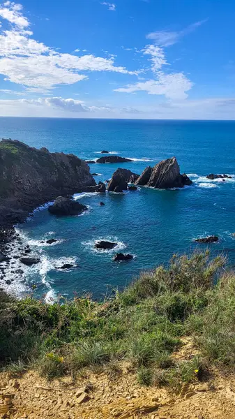 Zambujeira deniz kıyısında deniz dalgaları, uçurumlar ve kumullarla kaplı yeşil bitki örtüsü kırmızı incir yaprakları, güneşli bir gün, açık mavi gökyüzü. Rota Vicentina Sahili, Portekiz.