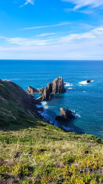 Zambujeira deniz kıyısında deniz dalgaları, uçurumlar ve kumullarla kaplı yeşil bitki örtüsü kırmızı incir yaprakları, güneşli bir gün, açık mavi gökyüzü. Rota Vicentina Sahili, Portekiz.