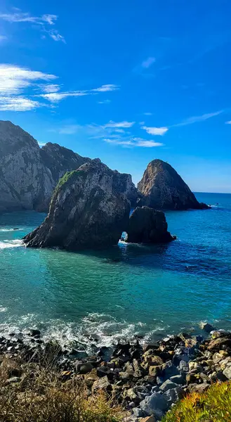Zambujeira deniz kıyısında deniz dalgaları, uçurumlar ve kumullarla kaplı yeşil bitki örtüsü kırmızı incir yaprakları, güneşli bir gün, açık mavi gökyüzü. Rota Vicentina Sahili, Portekiz.