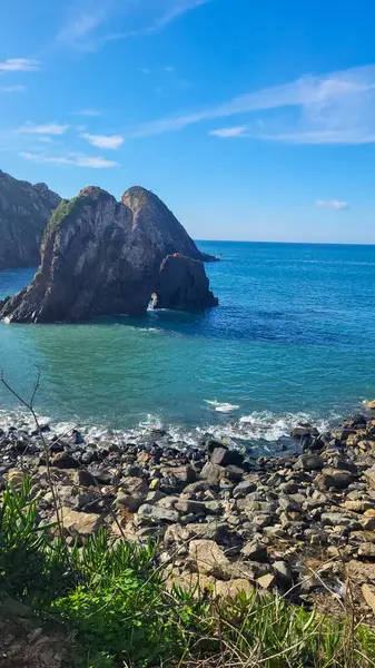 Zambujeira deniz kıyısında deniz dalgaları, uçurumlar ve kumullarla kaplı yeşil bitki örtüsü kırmızı incir yaprakları, güneşli bir gün, açık mavi gökyüzü. Rota Vicentina Sahili, Portekiz.