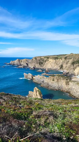 Zambujeira deniz kıyısında deniz dalgaları, uçurumlar ve kumullarla kaplı yeşil bitki örtüsü kırmızı incir yaprakları, güneşli bir gün, açık mavi gökyüzü. Rota Vicentina Sahili, Portekiz.