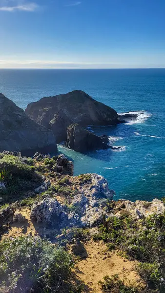 Zambujeira deniz kıyısında deniz dalgaları, uçurumlar ve kumullarla kaplı yeşil bitki örtüsü kırmızı incir yaprakları, güneşli bir gün, açık mavi gökyüzü. Rota Vicentina Sahili, Portekiz.