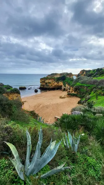 Camilo Beach (Praia do Camilo) Algarve, Portekiz arka planda turkuaz deniz ile. Plaj Praia do Camilo, Portekiz ahşap yaya köprüsü. Lagos Camilo Plajı Harika görünümü, Algarve, Portekiz.