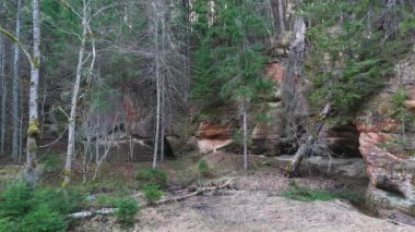 Letonya, Ieriki 'deki Cecilu Doğa Yolu. Kumada Nehri 'nin sağ kıyısından Cecilu Mağarası ve Rock Rock. Kuzey Kaya Havadan Uçan Dron Yavaş Çekiyor. Cecilu Doğa Patikası Turistler için Yürüyen Yol