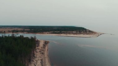 Gauja Nehri, Baltık Denizi körfezi Riga 'ya akıyor. Fırtına Sonrası Kırık Çamlar ve Yıkanmış Kıyılar. Ağaç Gövdesi Eroded Beach 'te bir sahili yıkadı.