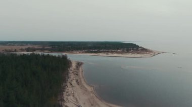 Gauja Nehri, Baltık Denizi körfezi Riga 'ya akıyor. Fırtına Sonrası Kırık Çamlar ve Yıkanmış Kıyılar. Ağaç Gövdesi Eroded Beach 'te bir sahili yıkadı.
