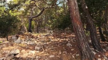 Antalya Kemer veya Faselis 'teki Phaselis Antik Kenti Antik Lycia kıyısında yer alan bir Yunan ve Roma şehridir. Antalya 'nın Kemer ilçesinde, Tekirova' nın kuzeyindeki harabeler bulunmaktadır..