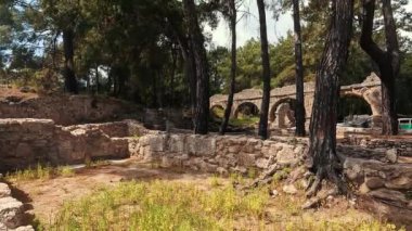 Aynı zamanda Phaselis Antik Şehir Limanı Yolu olarak da bilinen Phaselis 'in Antalya' nın Kemer ilçesinde bulunan Rodezya Kolonicileri tarafından kurulduğu sanılıyor..