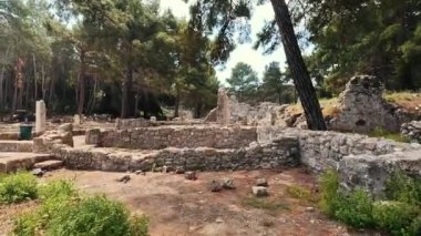 Aynı zamanda Phaselis Antik Şehir Limanı Yolu olarak da bilinen Phaselis 'in Antalya' nın Kemer ilçesinde bulunan Rodezya Kolonicileri tarafından kurulduğu sanılıyor..