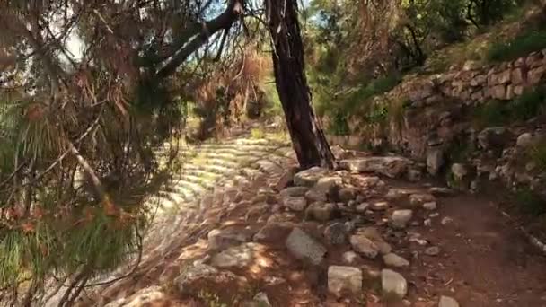 Фазелис Известный Phaselis Ancient City Harbor Road Полагают Основан Родезийскими — стоковое видео