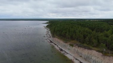 Kuressaare yakınlarındaki Saaremaa Adası 'nın kuzey kıyısı, Baltık Denizi. Saaremaa, Estonya. Panga Uçurumlarının 4K Panoramik Hava Videosu