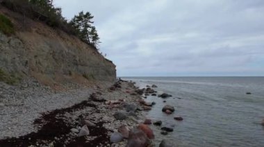 Kuressaare yakınlarındaki Saaremaa Adası 'nın kuzey kıyısı, Baltık Denizi. Saaremaa, Estonya. Panga Uçurumlarının 4K Panoramik Hava Videosu