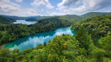 Şeffaf Turkuaz Gölün Renkli Suları Dalgalanmaya Başlıyor. Birçok küçük şelale göle akıyor. Plitvice Gölleri, Ulusal Park, Hırvat Sahnesi, Şelale Manzarası, Doğal Güzellik