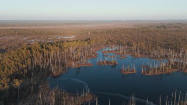 Cena Moorland Footpath Viewing Tower, Donmuş Göl Skaistleri Kış Havası Manzarası. Letonya 5 km uzunluğunda patikası olan en büyük ikinci bataklık. Cena Bataklığı ve Buz Gölü Kış 'ta Adalı Skaistler