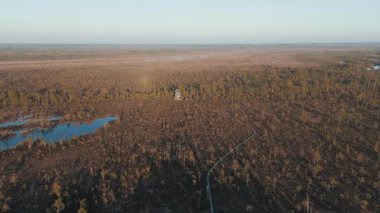 Cena Moorland Footpath Viewing Tower, Donmuş Göl Skaistleri Kış Havası Manzarası. Letonya 5 km uzunluğunda patikası olan en büyük ikinci bataklık. Cena Bataklığı ve Buz Gölü Kış 'ta Adalı Skaistler