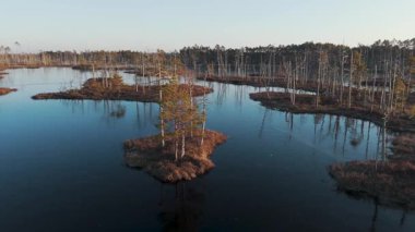 Cena Moorland Footpath Viewing Tower, Donmuş Göl Skaistleri Kış Havası Manzarası. Letonya 5 km uzunluğunda patikası olan en büyük ikinci bataklık. Cena Bataklığı ve Buz Gölü Kış 'ta Adalı Skaistler