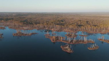 Cena Moorland Footpath Viewing Tower, Donmuş Göl Skaistleri Kış Havası Manzarası. Letonya 5 km uzunluğunda patikası olan en büyük ikinci bataklık. Cena Bataklığı ve Buz Gölü Kış 'ta Adalı Skaistler