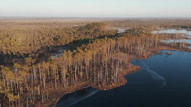 Cena Moorland Footpath Viewing Tower, Donmuş Göl Skaistleri Kış Havası Manzarası. Letonya 5 km uzunluğunda patikası olan en büyük ikinci bataklık. Cena Bataklığı ve Buz Gölü Kış 'ta Adalı Skaistler