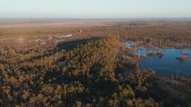 Cena Moorland Footpath Viewing Tower, Donmuş Göl Skaistleri Kış Havası Manzarası. Letonya 5 km uzunluğunda patikası olan en büyük ikinci bataklık. Cena Bataklığı ve Buz Gölü Kış 'ta Adalı Skaistler