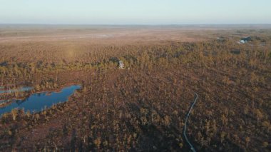 Cena Moorland Footpath Viewing Tower, Donmuş Göl Skaistleri Kış Havası Manzarası. Letonya 5 km uzunluğunda patikası olan en büyük ikinci bataklık. Cena Bataklığı ve Buz Gölü Kış 'ta Adalı Skaistler
