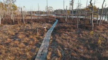Cena Moorland Footpath Viewing Tower, Donmuş Göl Skaistleri Kış Havası Manzarası. Letonya 5 km uzunluğunda patikası olan en büyük ikinci bataklık. Cena Bataklığı ve Buz Gölü Kış 'ta Adalı Skaistler