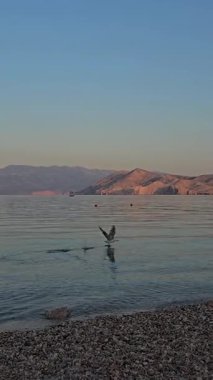 Baska Sahili ve Temiz Turkuaz Suyu, Marina Tekneleri, Şehir Caddesi, Krk Adası, Hırvatistan Adriyatik Denizi, Vela Plaza Sahili, Dağlar ve Kamp Kenti