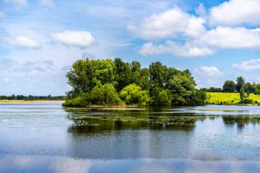 Yaz günü göl manzarası.