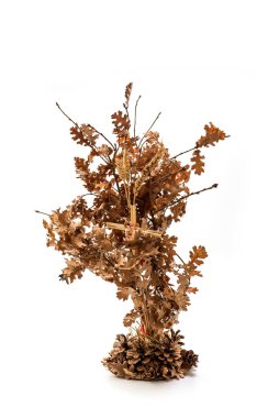 Ortodoks Hıristiyan kutlaması, Badnjak. Sırbistan Noel 'i - Bozic. Badnjak tahıl ve saman, kırpma yolu dahil olmak üzere beyaz arkaplanda izole