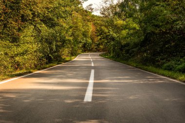 Country road with trees in a sunny spring day. Wavy rural road.