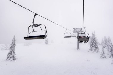 Yoğun siste kayak kaldırma. Köknar ağaçlarıyla kaplı kış manzarası