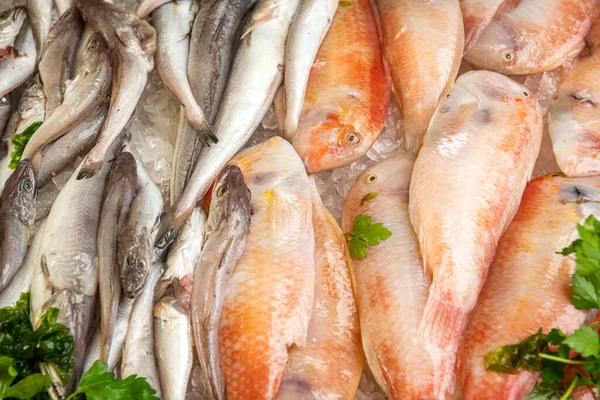 Frischer Meeresfisch Fischmarkt Palermo Sizilien Italien lizenzfreie Stockfotos