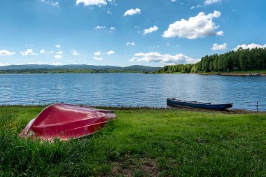 Sırbistan 'daki sakin bir Vlasina gölünün kıyısına yanaşan mavi ve çimlerdeki kırmızı tekne, baharın sonlarında devrildi.