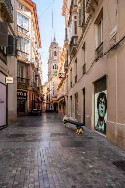 11 Ekim 2024, Malaga, İspanya - Kafeterya terasları ve dükkanları olan Malaga City sokak manzarası