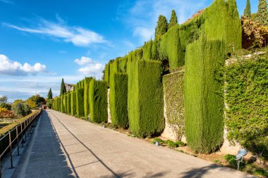 Generalife Garden, Alhambra, Granada, İspanya boyunca uzanan ara sokak. Mükemmel peyzajlı Generalife Bahçesi, Alhambra, Granada, İspanya boyunca keyifli bir yürüyüş.