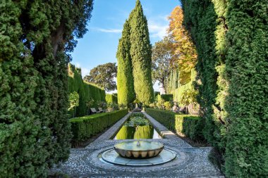 Alhambra 'daki General' in bahçesindeki detaylar. Granada, İspanya